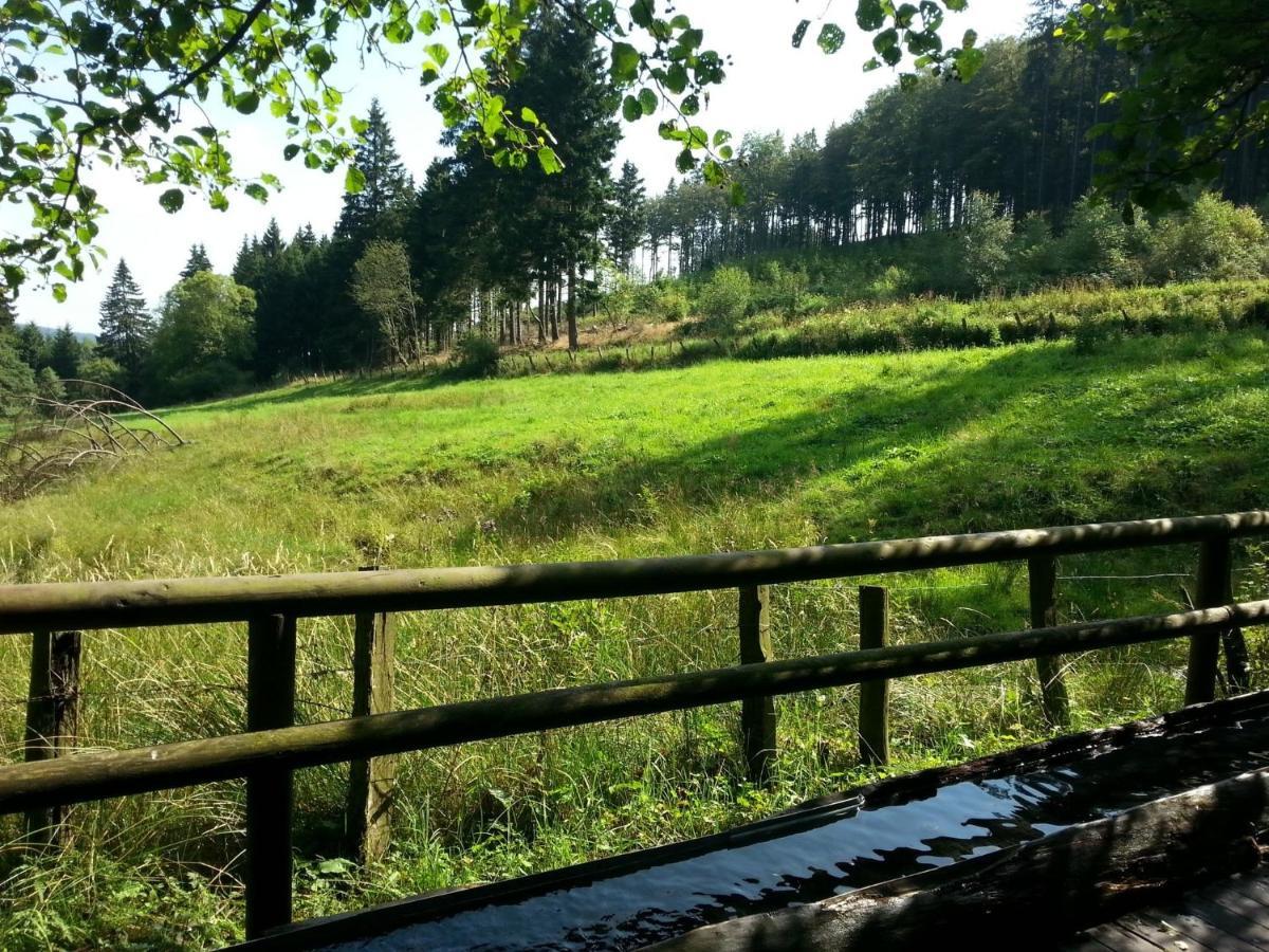 Cosy Apartment Over Usseln With Private Terrace Willingen (Upland) Quarto foto
